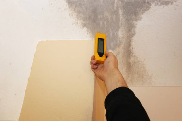 Best Post-Remediation Verification Testing  in Freedom, CA