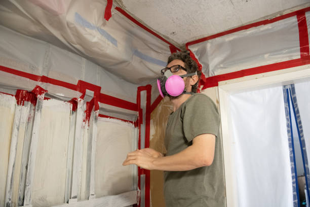 Freedom, CA Mold Removal Company